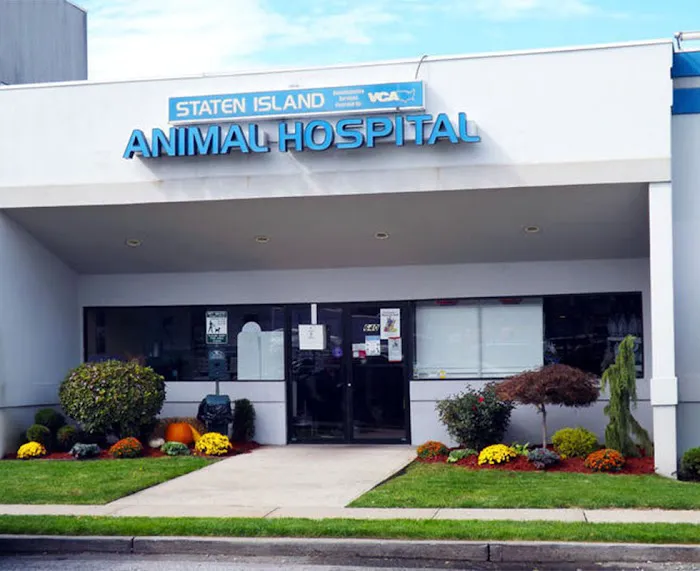 Staten Island Animal Hospital Picture 7