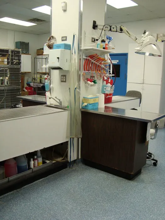 Staten Island Animal Hospital Picture 10