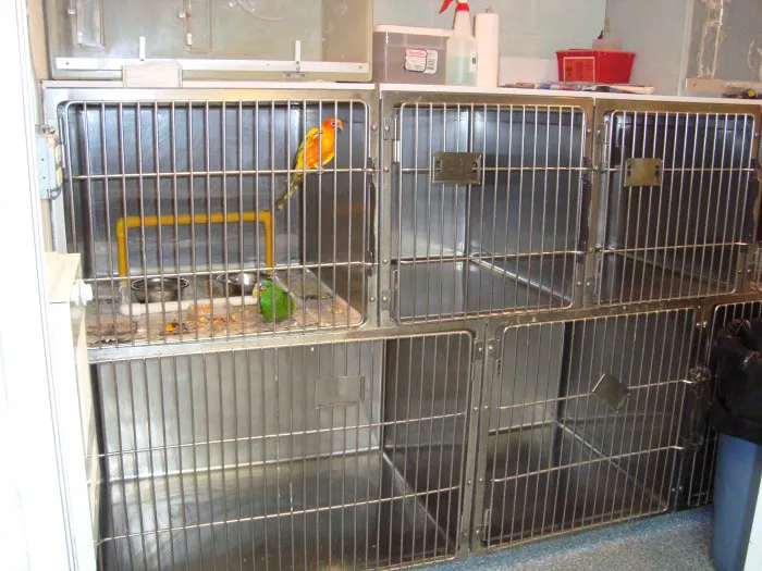 Staten Island Animal Hospital Picture 9