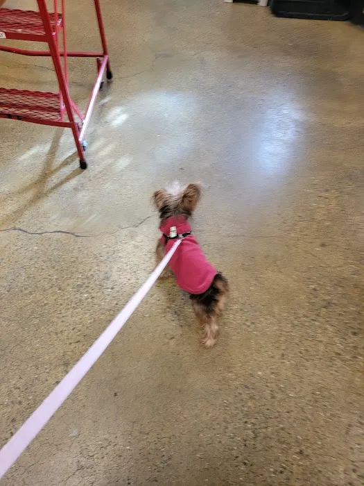 Banfield Pet Hospital Picture 6