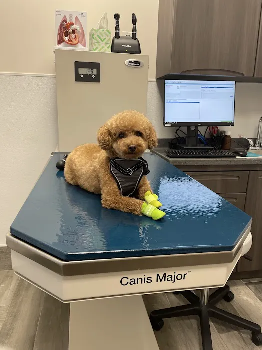Pleasant Plains Animal Hospital North Picture 2
