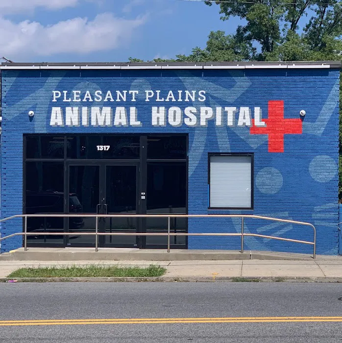 Pleasant Plains Animal Hospital North Picture 10