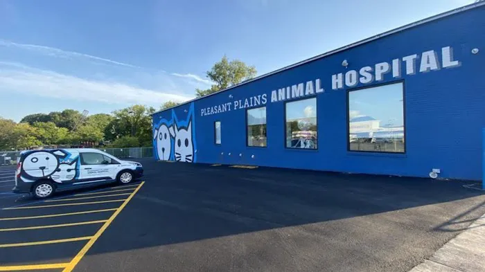 Pleasant Plains Animal Hospital North Picture 8