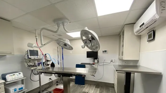 Pleasant Plains Animal Hospital North Picture 9