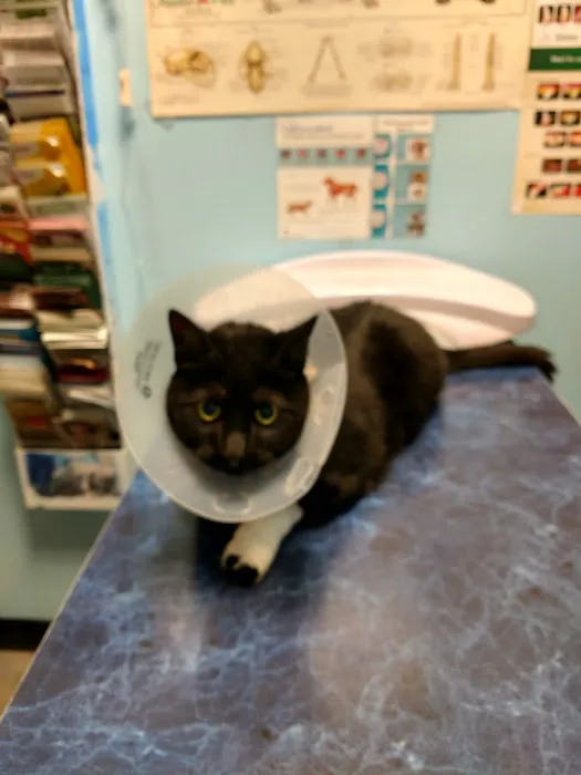 Aadobe Animal Hospital Picture 2