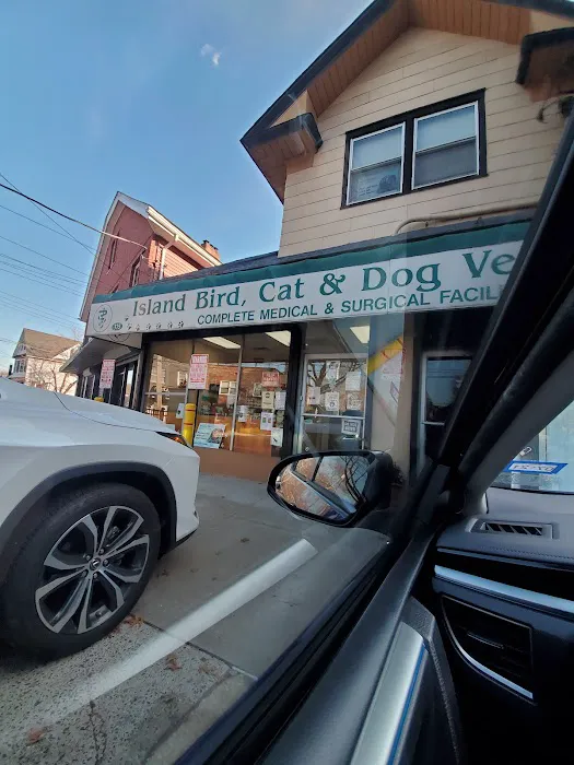 Island Bird Cat & Dog Veterinary Group Picture 4