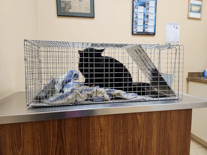 Island Bird Cat & Dog Veterinary Group Picture 8