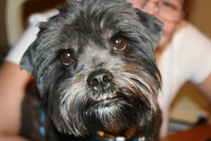 Four Corners Veterinary Practice Picture 1