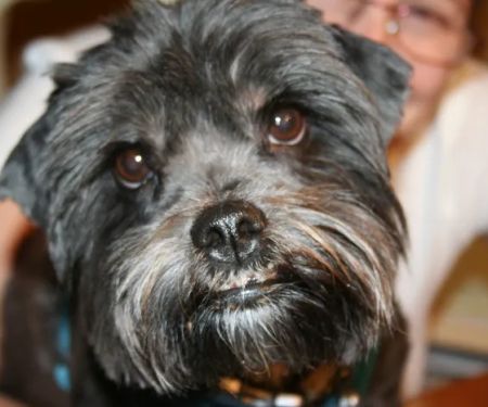 Four Corners Veterinary Practice