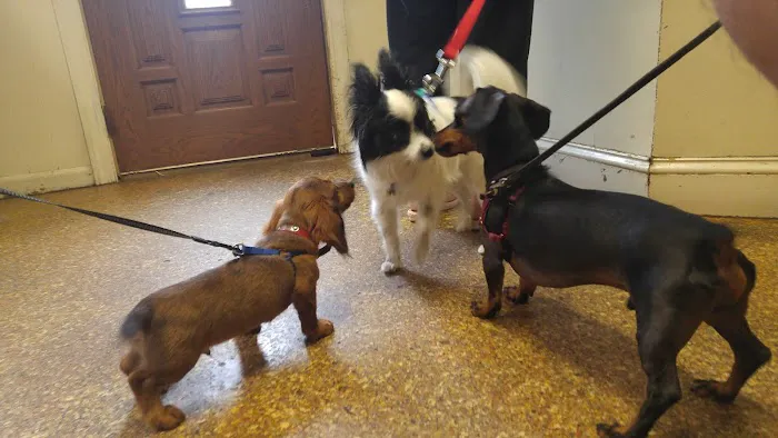 Forest Animal Hospital Picture 9