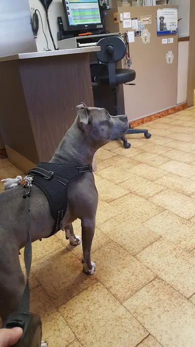 Northside Animal Hospital Picture 7