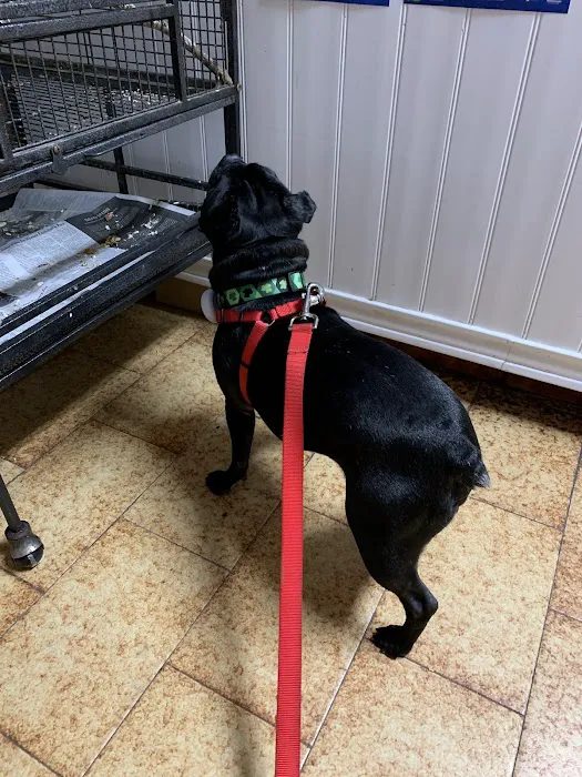 Northside Animal Hospital Picture 9