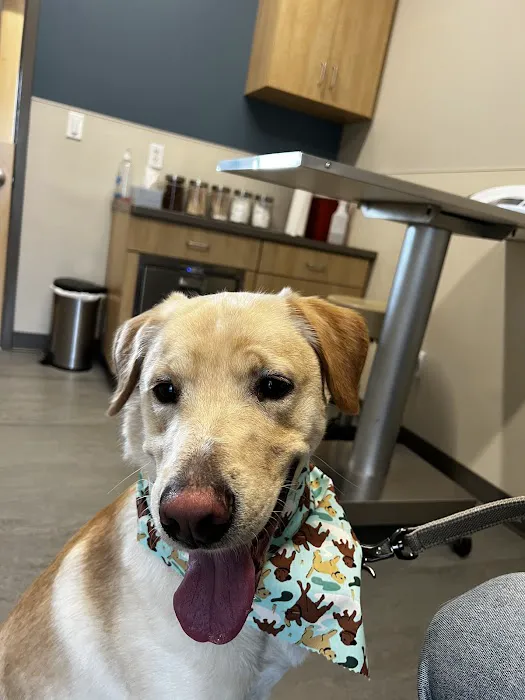 Pocono Peak Veterinary Center Picture 2