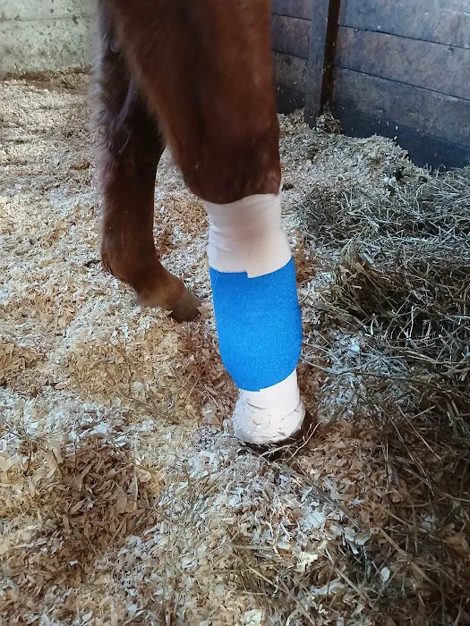 Cross River Veterinary Service Picture 1