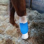 Cross River Veterinary Service