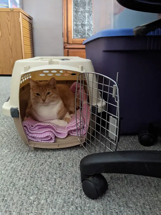 Mt Bethel Animal Hospital Picture 1