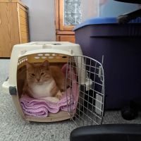 Mt Bethel Animal Hospital ico