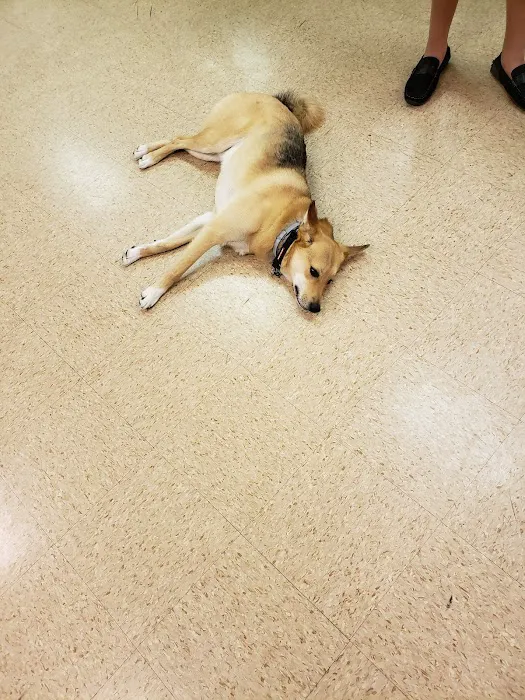 Mt Bethel Animal Hospital Picture 2