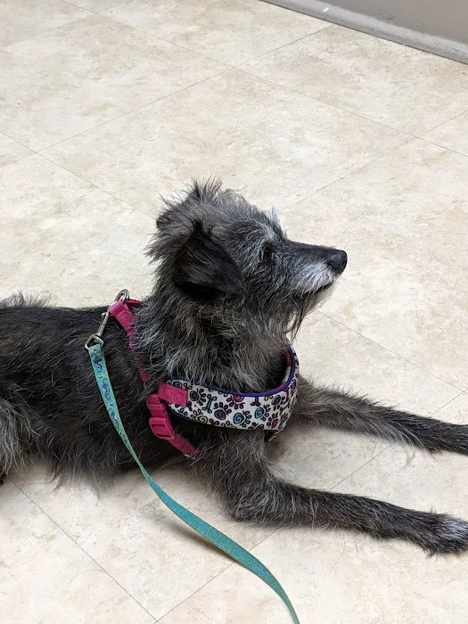 Mt Bethel Animal Hospital Picture 9