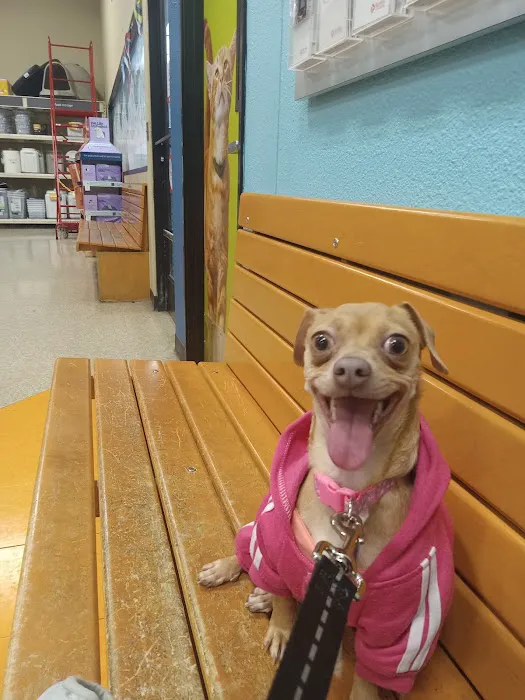 Banfield Pet Hospital Picture 3