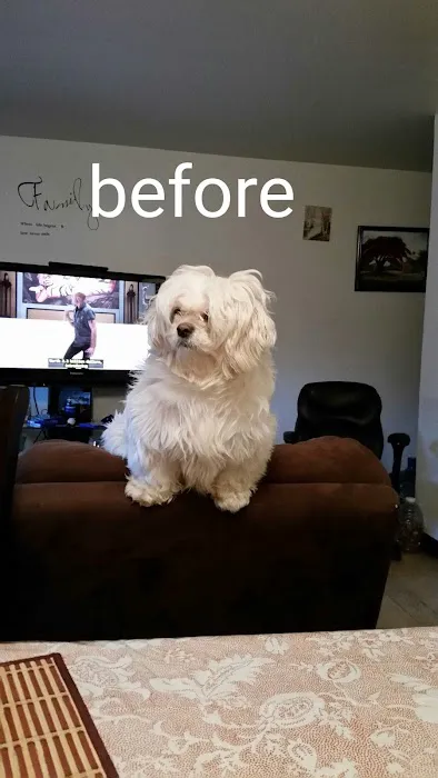 Banfield Pet Hospital Picture 1
