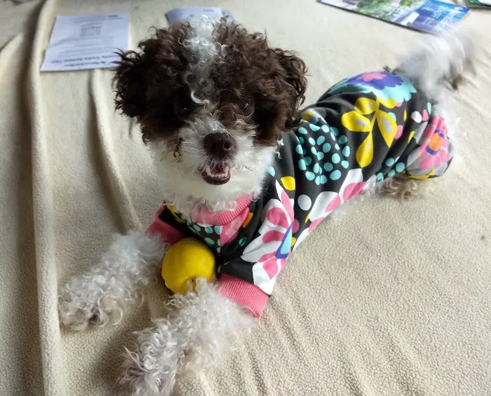 Banfield Pet Hospital Picture 4
