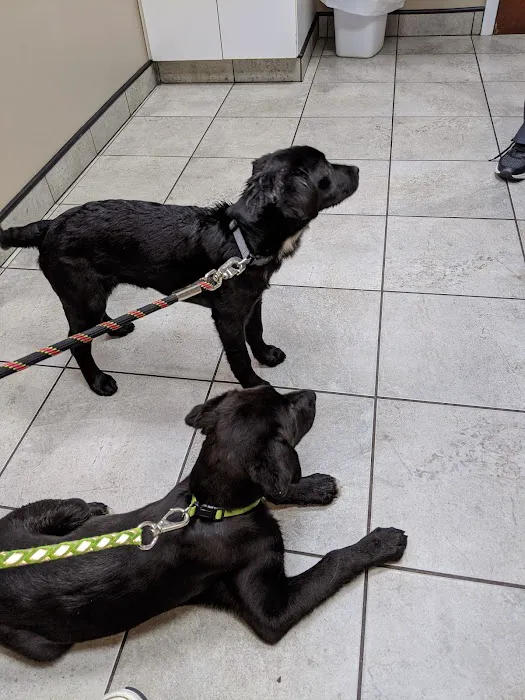 Barton Heights Veterinary Hospital Picture 1