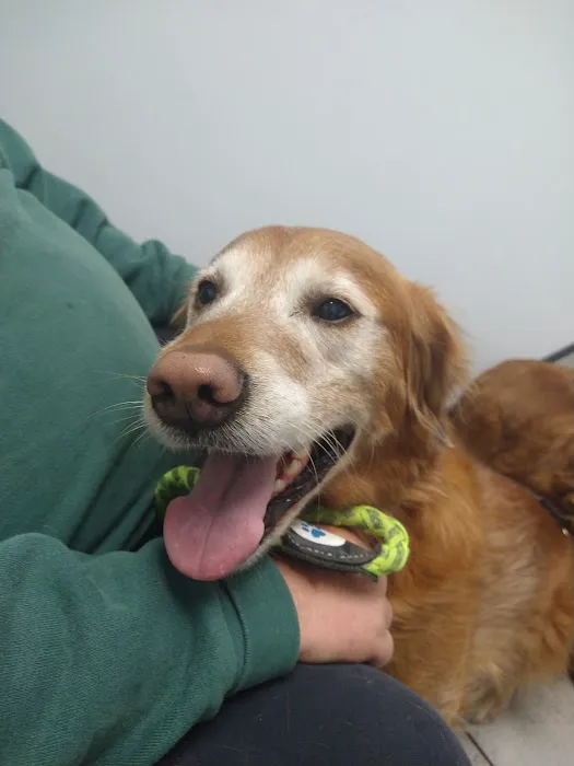 Barton Heights Veterinary Hospital Picture 7