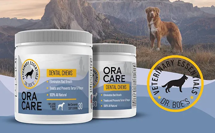 Veterinary Essentials Picture 5