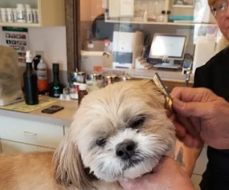 Lake Hopatcong Animal Hospital