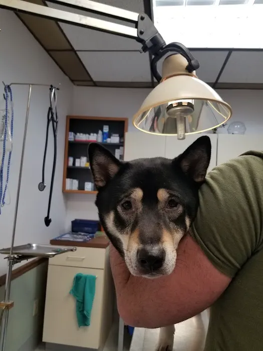 Lake Hopatcong Animal Hospital Picture 5