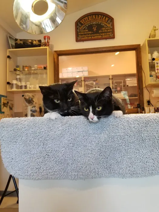 Lake Hopatcong Animal Hospital Picture 7