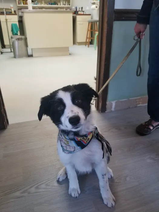 Lake Hopatcong Animal Hospital Picture 6
