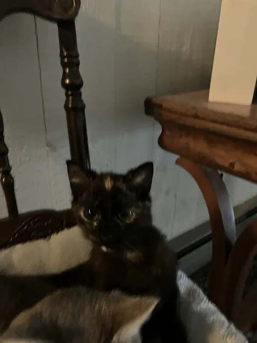 PetVet Vaccination Clinic Picture 1