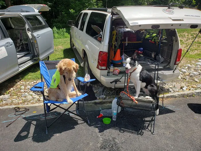 The Highlands Veterinary Hospital Picture 4