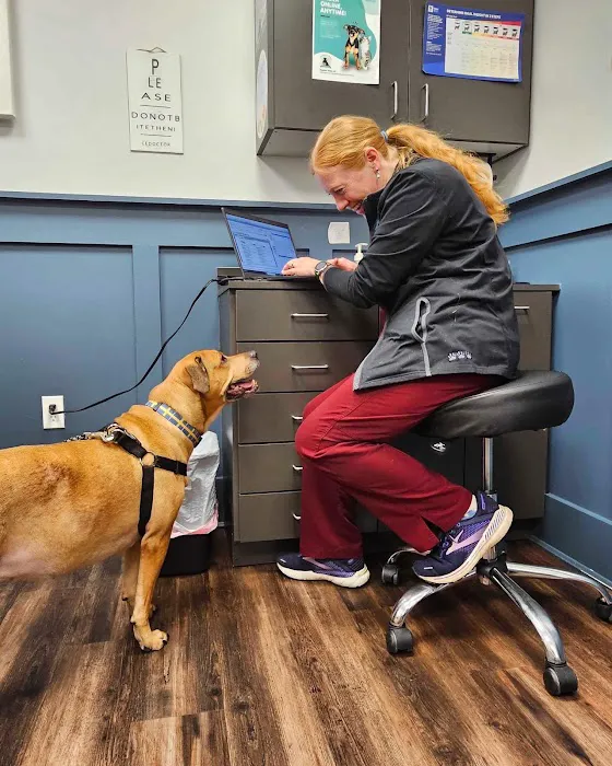 Veterinary Center of Hardyston Picture 7