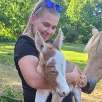 Skylands Veterinary Services ico