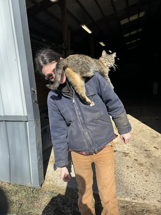 Skylands Veterinary Services Picture 4