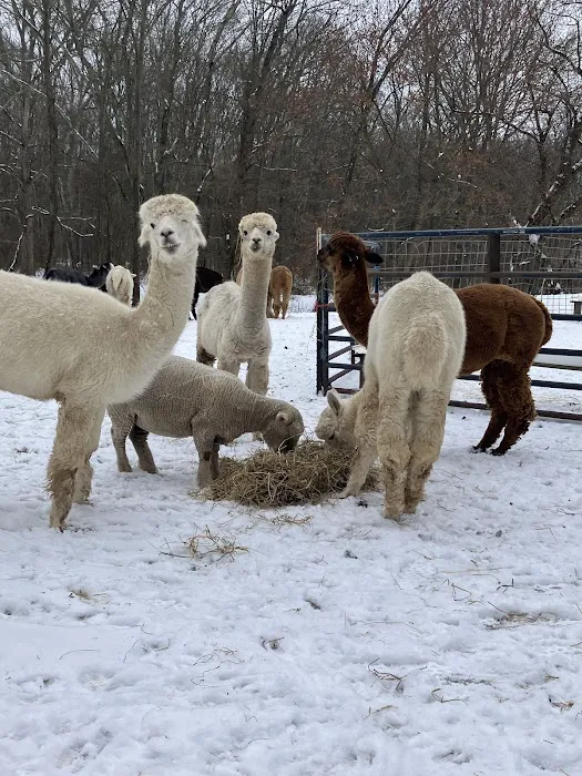 Skylands Veterinary Services Picture 5