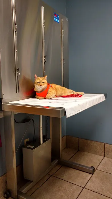 Berwick Veterinary Care Center Picture 1