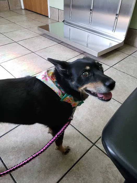 Berwick Veterinary Care Center Picture 4