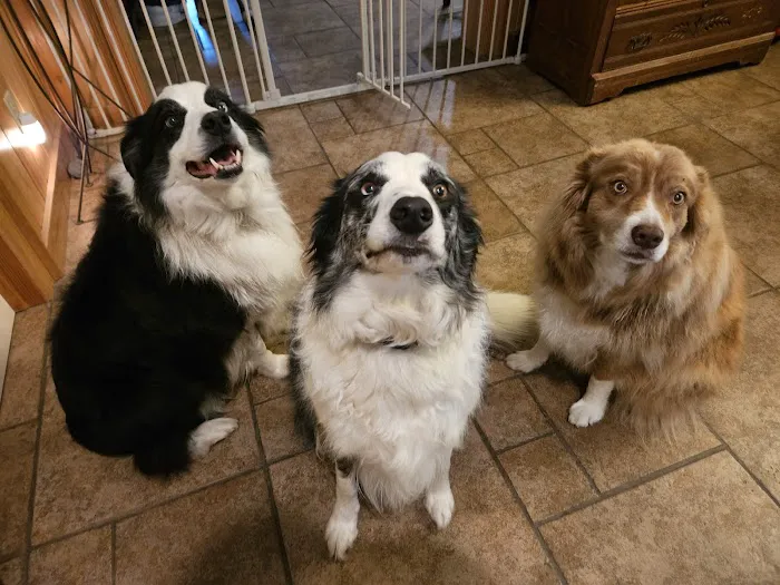Berwick Veterinary Care Center Picture 6