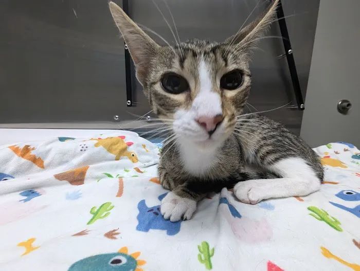 White Haven Veterinary Hospital Picture 3