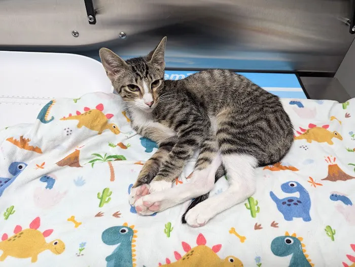 White Haven Veterinary Hospital Picture 4
