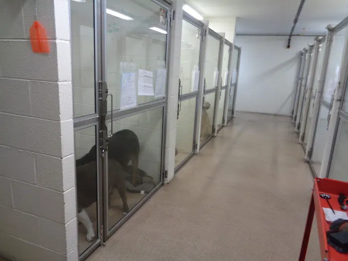 White Haven Veterinary Hospital Picture 9