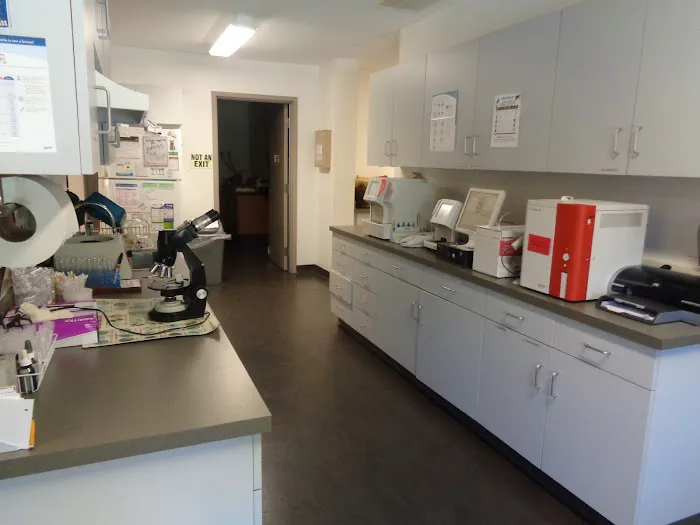 White Haven Veterinary Hospital Picture 8