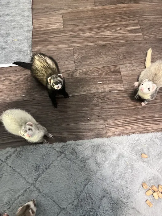 Ani-Care Animal Hospital Picture 5