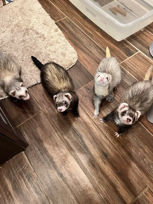 Ani-Care Animal Hospital Picture 4