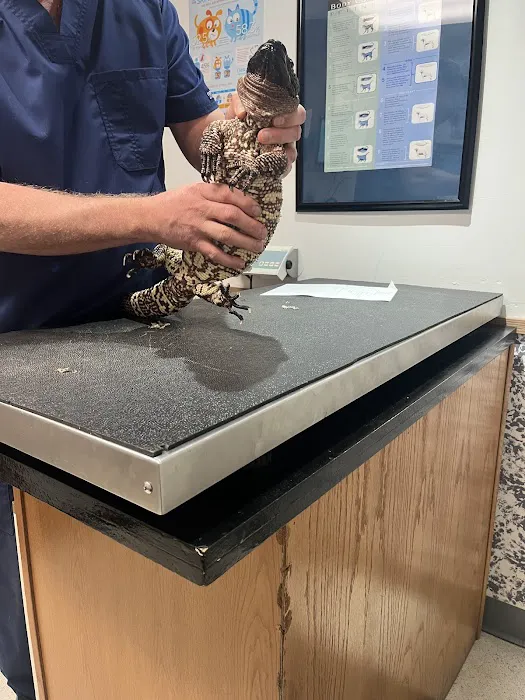 Ani-Care Animal Hospital Picture 7