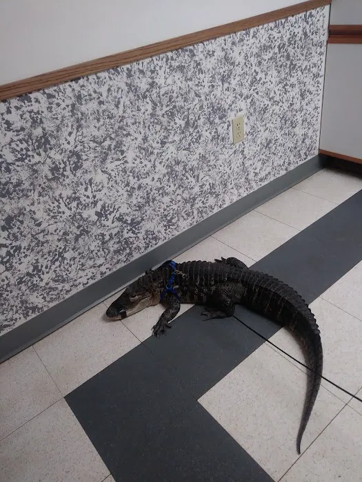 Ani-Care Animal Hospital Picture 6
